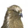 ui_t_hippogriff_f_default.png