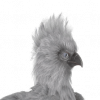 ui_t_hippogriffoffspring_albino.png
