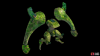 enprofile_60171-816ccf2d.png