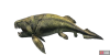 fish_dunkleosteus-dc6eafe0.png