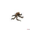 ch_m_na_14-f8bbf2fe.png