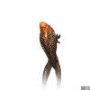 ch_m_na_03-86ea6cce.png