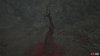 tree root-9e44fdba.jpg