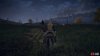 Night_s Cavalry.jpg