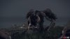 Deathbird 6.jpg