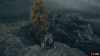 Witchbane Ruins ER.png