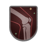 Icon for <span>Crippling - Rank 2</span>