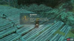 sundelion2349494-4827c60f.jpg