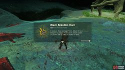 black_bokoblin_horn_33-68cf19a7.jpg