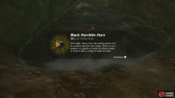 black_horriblin_horn-51d0ad27.jpg