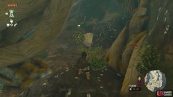 like_like_1_enemies_great_sky_island_map_zelda_totk-28e7cce7.jpg