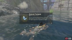 octorok_tentacle-28c3c786.jpg