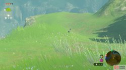 blue_sparrow_1_necluda_surface_map_zelda_totk-ca1c1b92.jpg