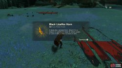 black_lizalfos_horn34566-2c172be9.jpg