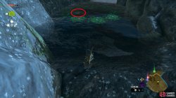 mighty_carp_1_necluda_surface_map_zelda_totk-9a5c2c1e.jpg