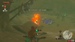 totk_tingle_hood_5-794e27db.jpg