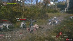 beast_against_beast_wolves-d95542f3.jpg