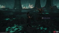 scissor_claw_5.jpg
