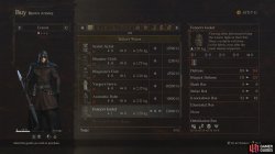 fencers_jacket_armor_body_dragons_dogma_2-54264d09.jpg