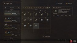 ring_of_disfavor_ring_dragons_dogma_2-e7ee4be7.jpg