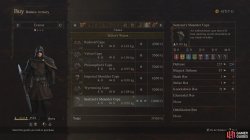 sentinels_shoulder_cape_armor_cloak_dragons_dogma_2-43ace785.jpg