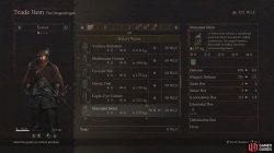 shrouded_helm_head_equipment_dragons_dogma_2-30451c9a.jpg