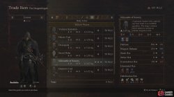silhouette_of_sorcery_body_equipment_dragons_dogma_2-8b89c6b7.jpg