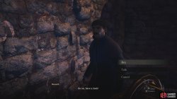 pawn_guild_the_unmoored_world_dragons_dogma_2-d5f6d42b.jpg