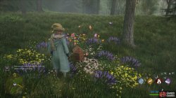 hogwarts_legacy_2023_02_15_11h03m58s243-d5378f97.jpg