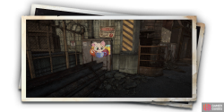 album_photo_cat_07-e060dd64.png