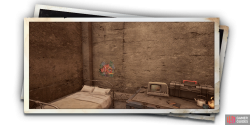 album_photo_fish_03-b7101a26.png