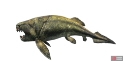 fish_dunkleosteus-dc6eafe0.png