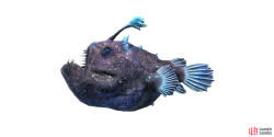 fish_footballfish-5bf7ceb4.png