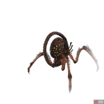 ch_m_na_11_typeb-a7092809.png