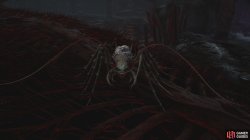 small centipede-def6cf07.jpg