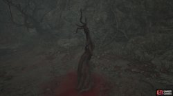 tree root-9e44fdba.jpg