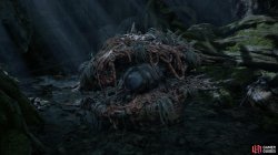 corpse-eating clam-87cbbdd5.jpg