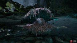 small corpse-eating clam-768eae35.jpg