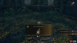 Flask of Wondrous Physick Pickup Elden Ring.jpg