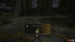 Flask of Wondrous Physick.jpg