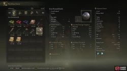 Iron Roundshield Inventory.jpg