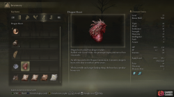 Dragon Heart Info.png