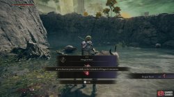 Dragon Heart Pickup Elden Ring.jpg