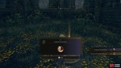 Crimson Crystal Tear Pickup Elden Ring.jpg
