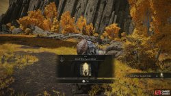 Ash of War Sacred Order.jpg