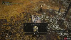Ash of War Lightning Ram.jpg