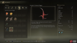 Assassin_s Crimson Dagger Info.png