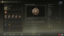 Crimson Amber Medallion Lore.jpg
