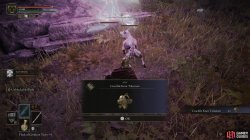 Crucible Knot Talisman Obtained.jpg