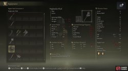 Nightrider Flail Weapon Stats.jpg